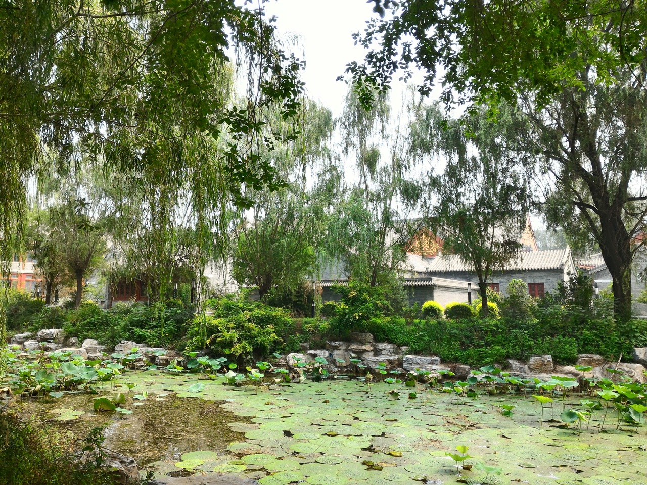 北京大學