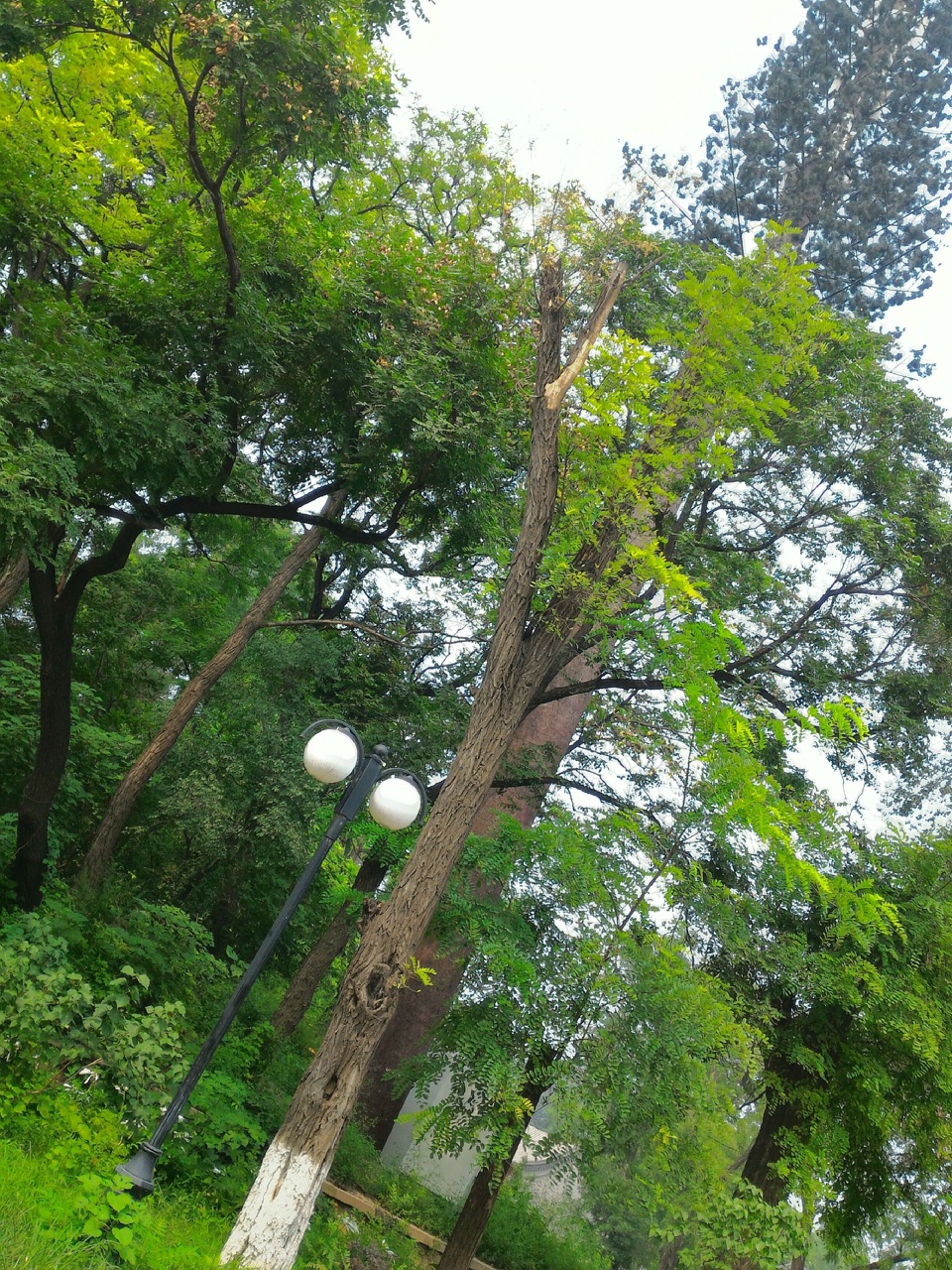 北京大學