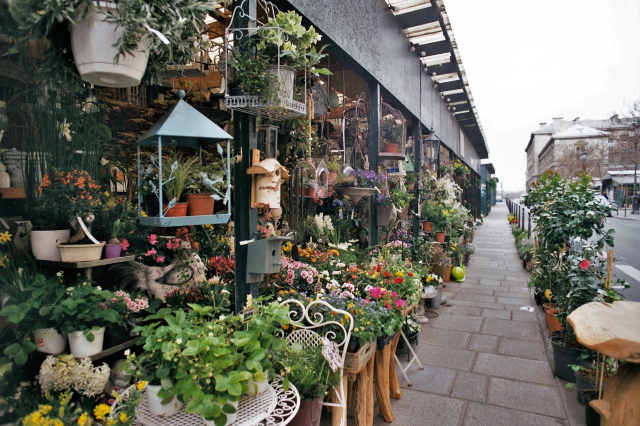 巴黎西堤島周圍橋邊花店